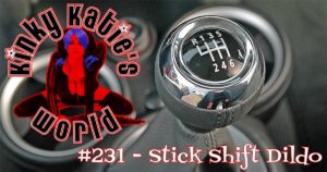 Read more about the article #231 – Stick Shift Dildo