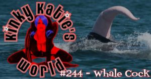 Read more about the article #244 – Whale Cock